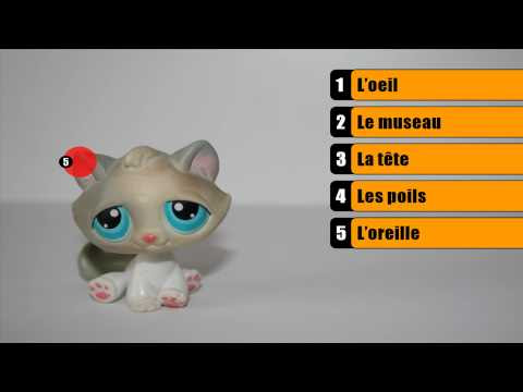 [HD] pet store smaller # 4