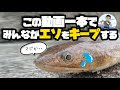 画像 エソ 食べ方 801805-エソ 卵 食べ方