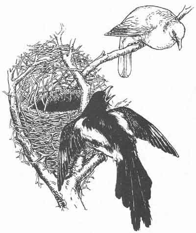 http://www.sacred-texts.com/neu/eng/eft/img/055.jpg