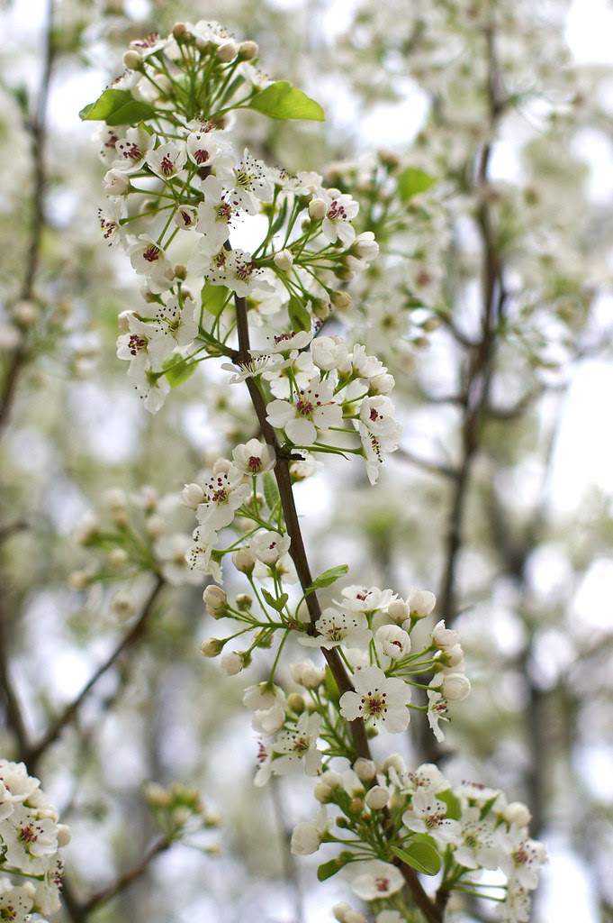 When I look up the sky today