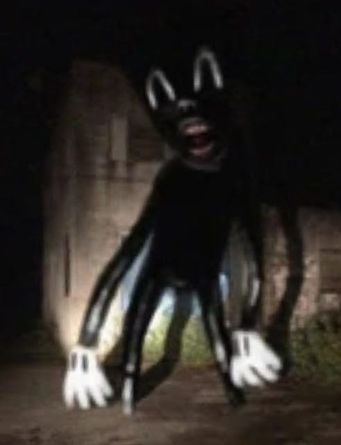 Cartoon Cat by The surounding darkness Creepypasta XYZ Cartoon Cat by The surounding darkness Creepypasta XYZ
