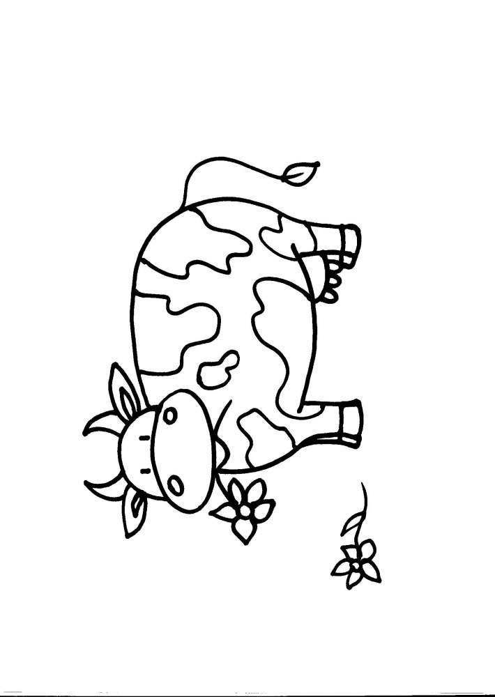 Animali Della Fattoria Fattoria Animali Da Colorare Fattorie Didattiche La Mucca E Un Bovino Il Cavallo E Un Equino Il Maiale E Un Suino L Asino E Un Equino Didattica In Fattoria Scuola In Fattoria Disegni Da Colorare Bere Latte Fa Bene
