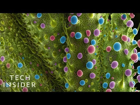 Зображення