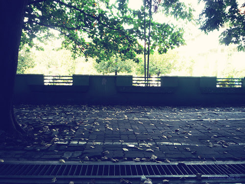 campus parking lot