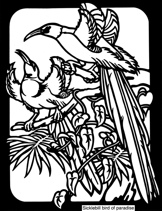 Welcome to Dover Publications