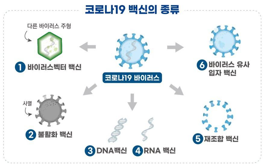 Medi Gate News ìì½ì² í