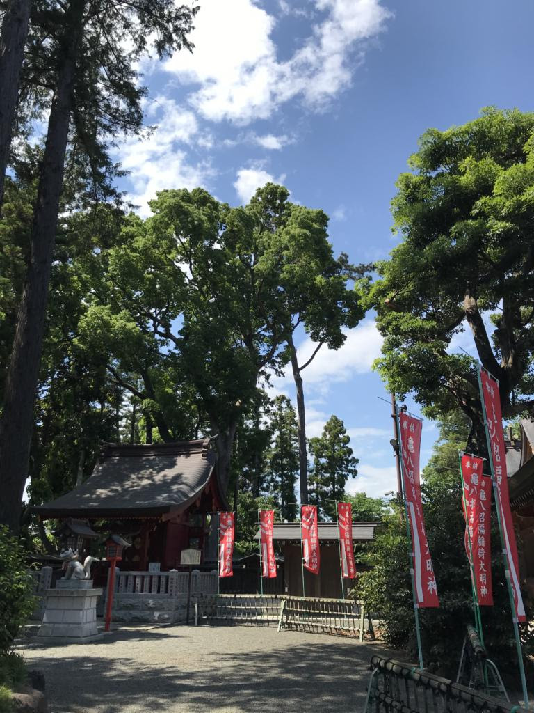 皐月の意味 言の葉日記