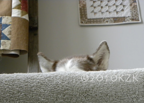 DSCN3484 Ammy