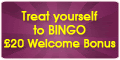 120x60RevShare_Bingo