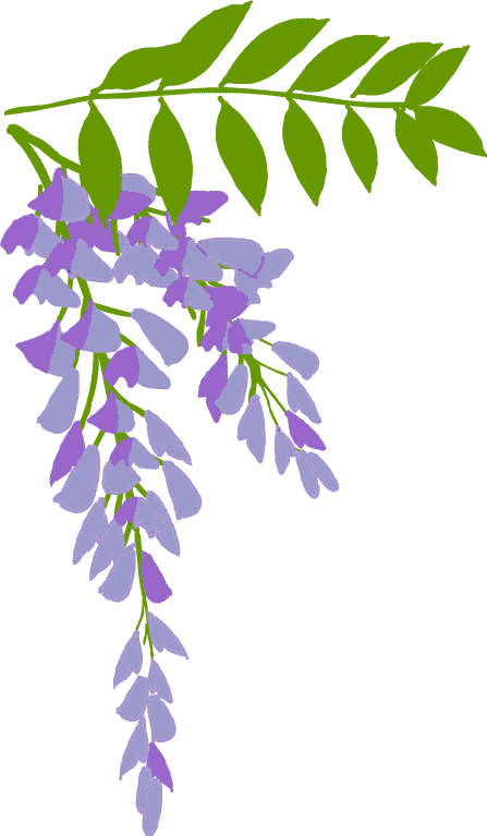 夏 夏景色 夏の花 イラスト 無料