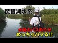 √1000以上 琵琶湖 釣り 106729-琵琶湖 釣り 初心者