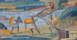 Palestrina Mosaic reforçada Dobbs