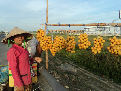 Trái thanh trà được người dân huyện Bình Minh bày bán.
