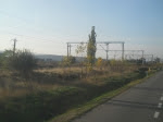 DSCN3005