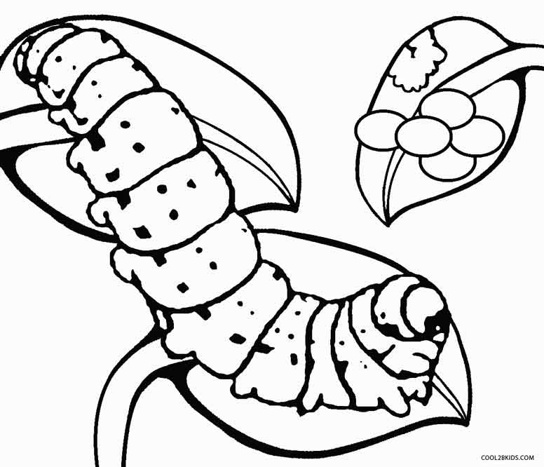 Download Printable Caterpillar Coloring Pages For Kids | Cool2bKids