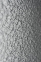 DSC_0460
