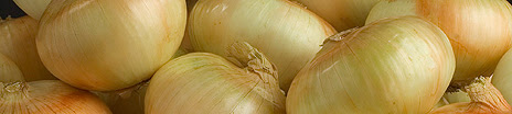 Cebolla