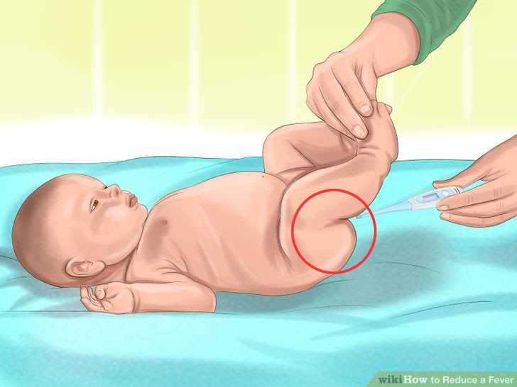 Reduce a Fever Step 17 Version 2.jpg