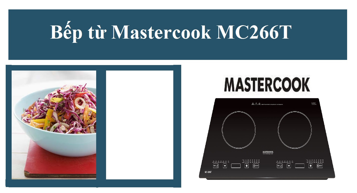 Bếp từ Mastercook MC266T.jpg