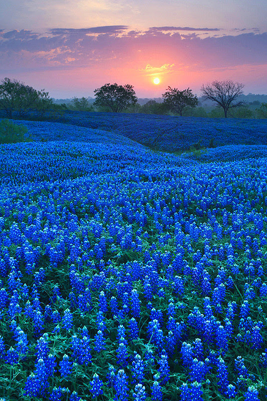 35 Amazing Places In Our Amazing World