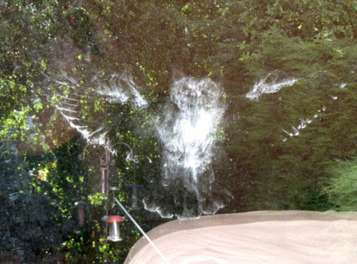 An imprint of an owl is left on a window pane after the bird crashed  into the window. Sally Arnold returned home to Kendal, Cumbria, and  found the huge imprint complete with eyes, beak and feathers on her  bedroom window. The silhouette was left by the bird&#8217;s &#8216;powder down&#8217; - a  substance protecting growing feathers.
Picture: PA / RSPB