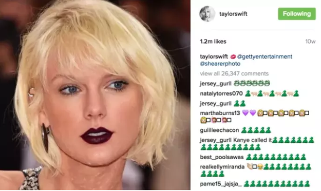 Taylor Swift is no stranger to the snake emoji (🐍). In fact, since July 2016, it's partly defined her.