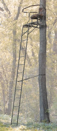 Guide Gear 16' Wraparound 2 - man Ladder Stand