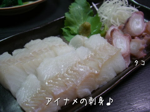 産卵期のアイナメのお刺身 湯たんぽ 旧ashブログ 岩手県久慈市