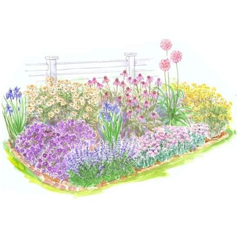 beginner perennial garden full sun pinterest
