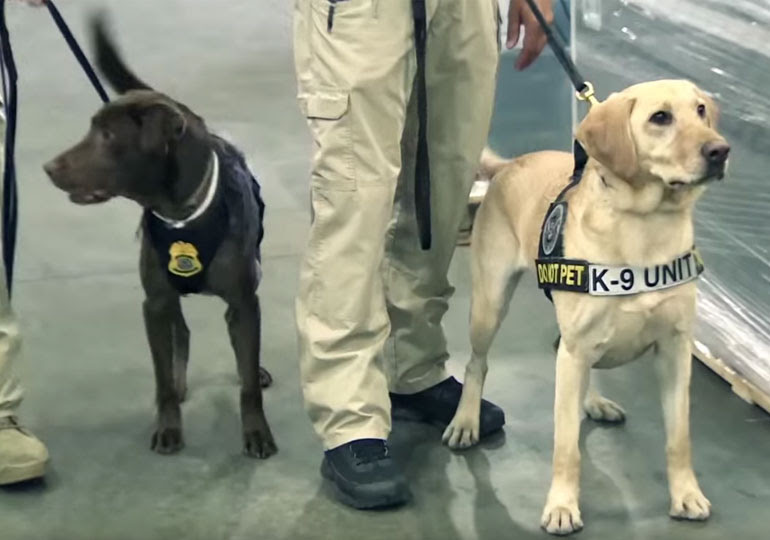 delores homes training center