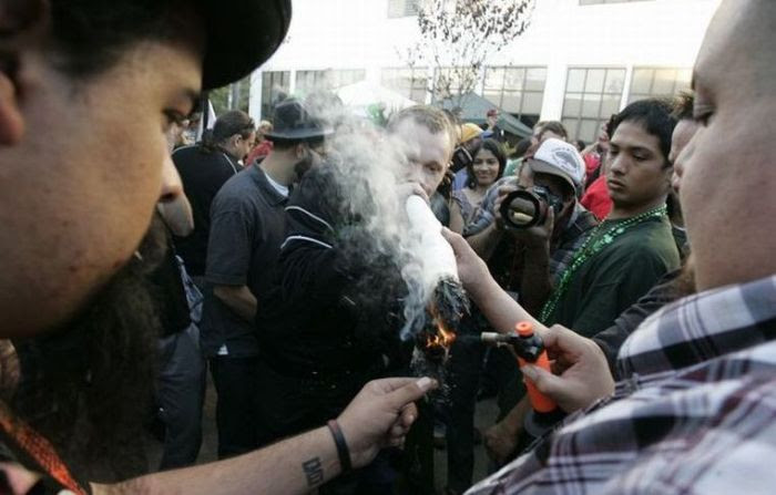2010 SF Medical Cannabis Competition (50 pics)