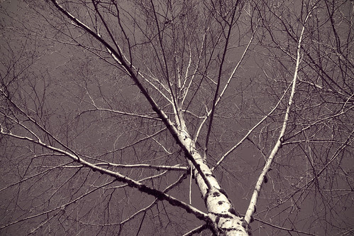 27_366 01-27-12