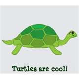 Famous Funny Quotes About Turtles
