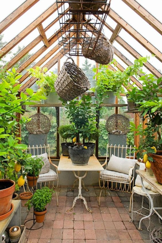 4 Tips to Choosing a Luxury Greenhouse  Better HouseKeeper