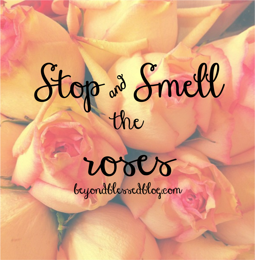 Stop Smell The Roses Beyond Blessed