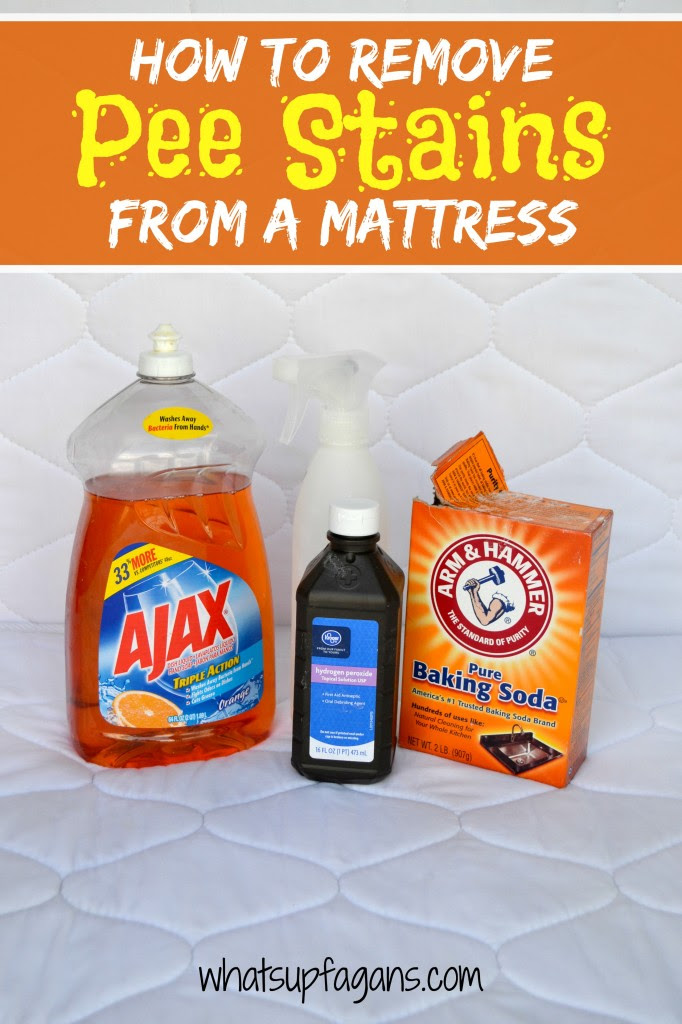 7 Hydrogen Peroxide Cleaner Recipes That Will Clean ...