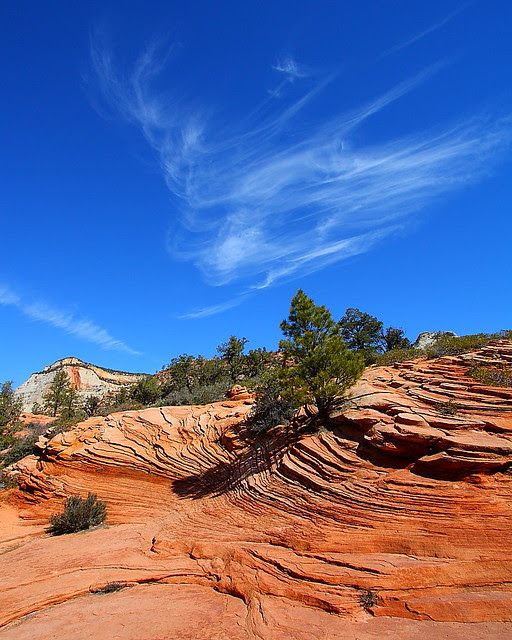 IMG_5985 Sandstone Swirls and Clouds, Zion National Park