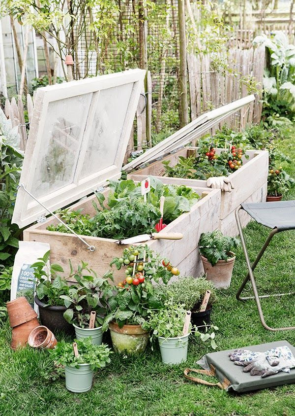 DIY GARDEN PROJECTS | Garden | Pinterest