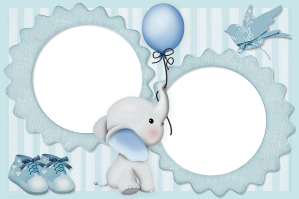 Cadre Bebe Png Enfant Elephant Baby Frame Png