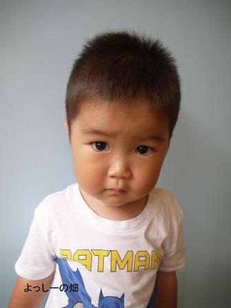 子供の髪型 キッズカット 男の子 スポーティショート よっしーの畑
