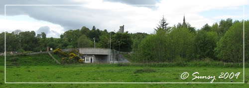 dingwall1