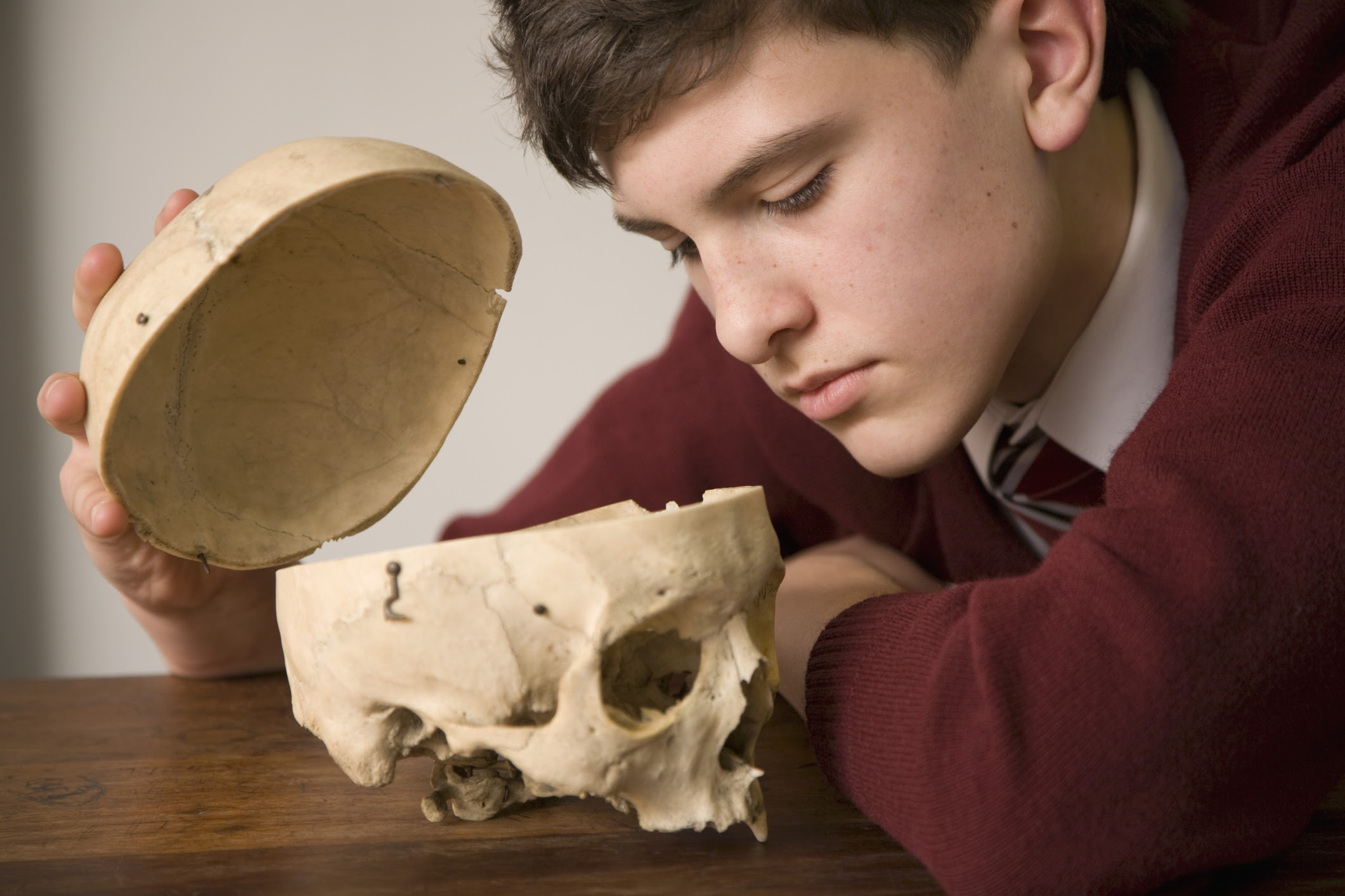 Types Of Human Skull Shapes