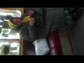 Видео Реальность,как живут люди в Киеве,21.11.2012.