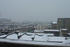 Heavy Snow #14