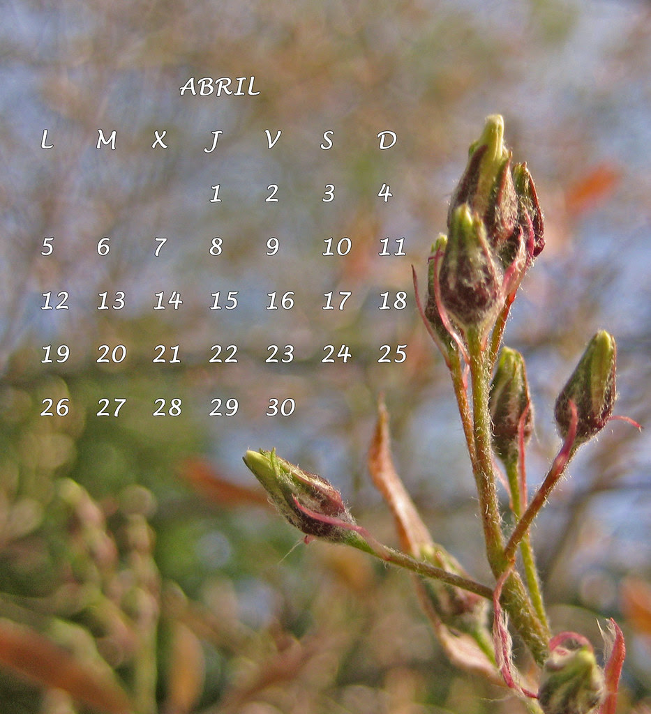 abril 9