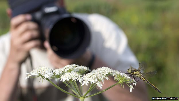 photographing wildlife is perfect for getting closer to nature