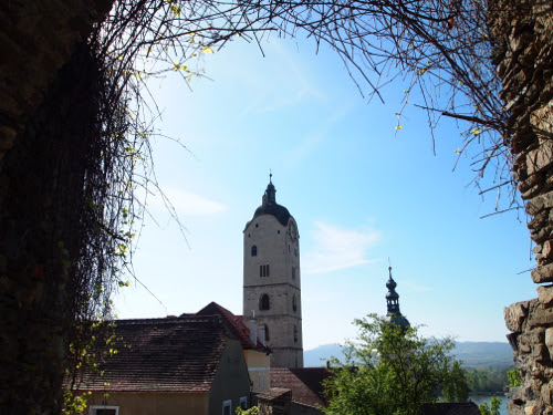 stein