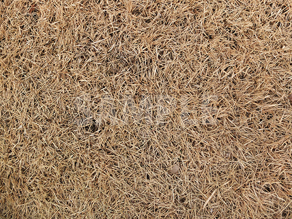 枯れた芝生のテクスチャー フリー写真テクスチャー素材