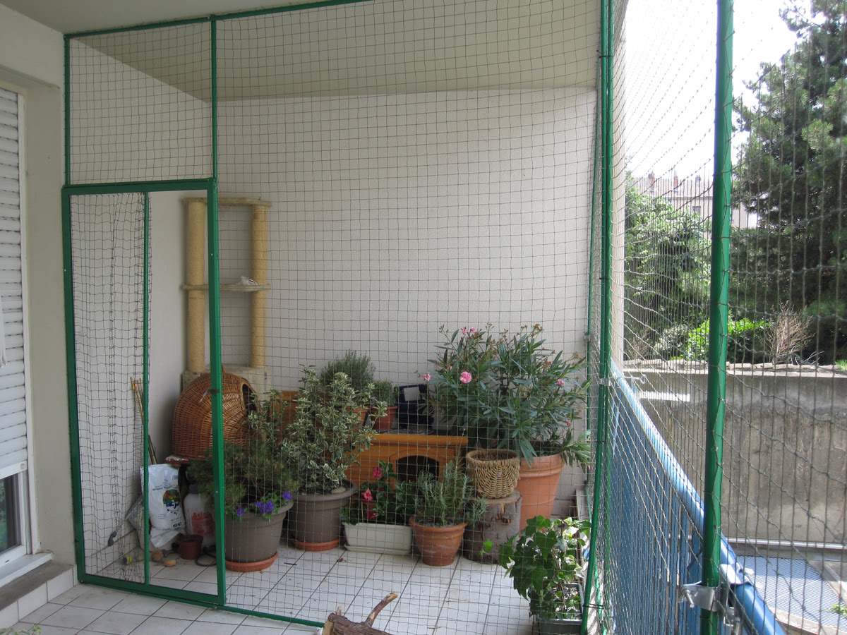 Cadre A Filet Coulissant Pour Fenetre Et Porte Fenetre Securitechats Ch
