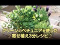 √99以上 寄せ 植え 春 組み合わせ 145115-寄せ植え 春 組み合わせ おしゃれ